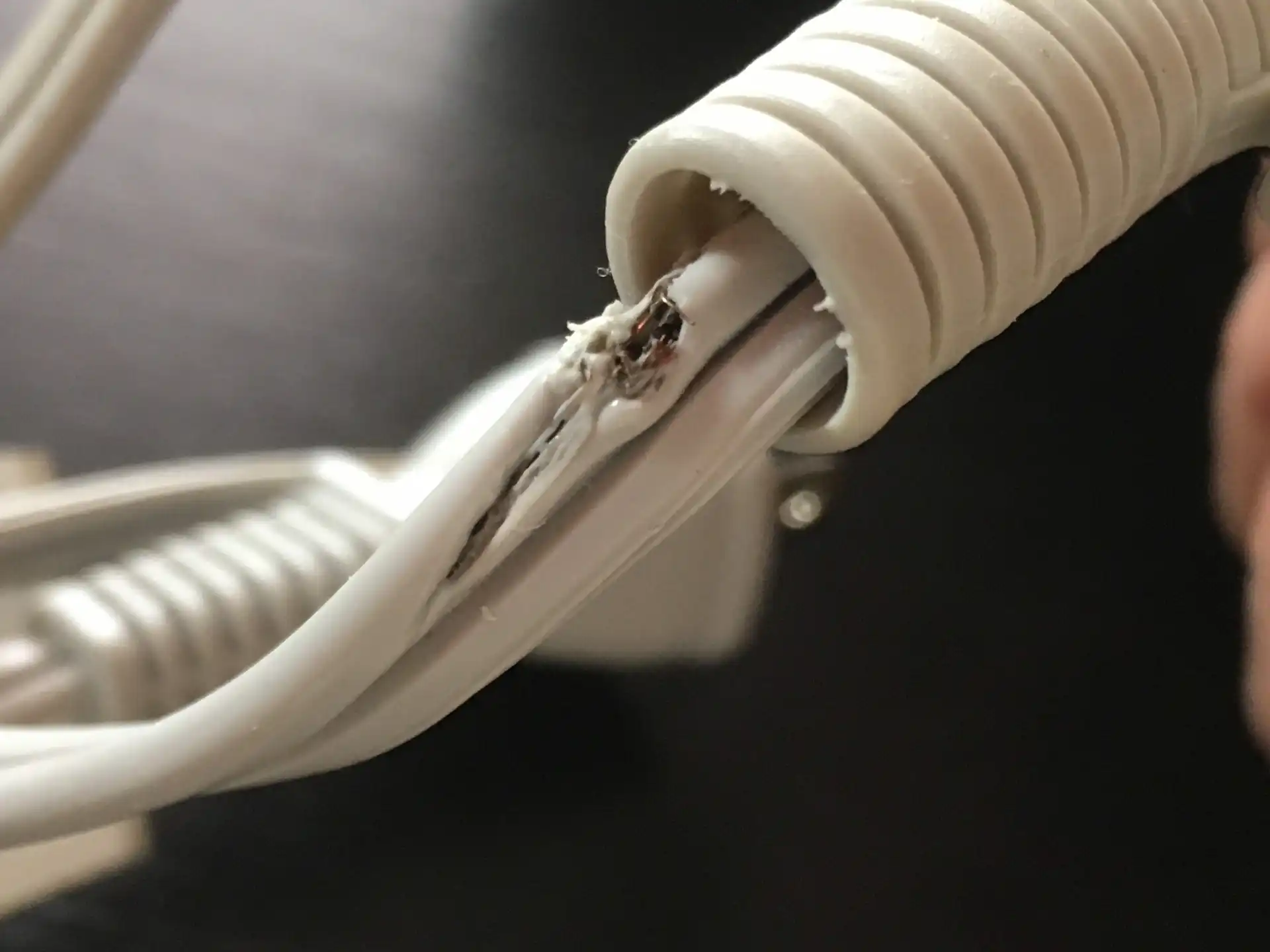 ネズミによる事故