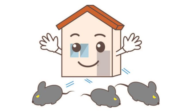 個人でできるネズミ退治方法