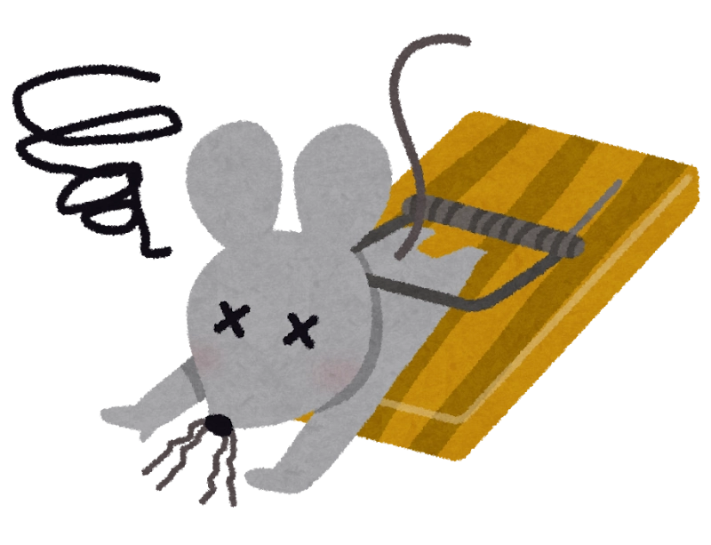 個人でもできる？ネズミ退治