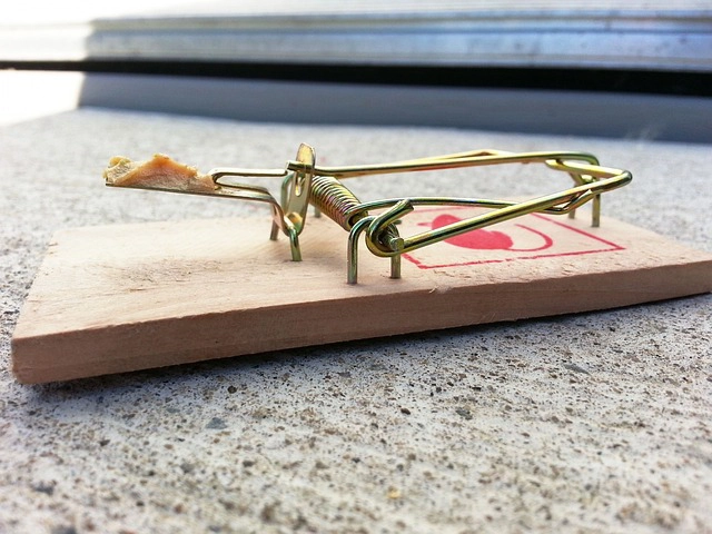 ネズミに対する防除対策