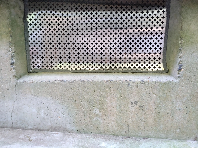 ネズミの被害を防ぐ3つの環境対策