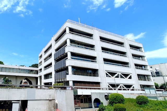 三鷹市ではネズミ駆除に対する具体的な対応はしていない