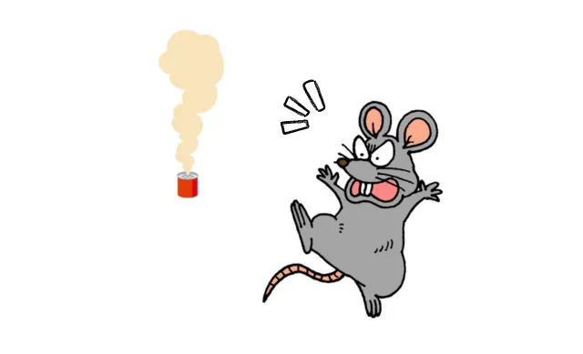 誰でもできる市販の駆除剤を使ってのネズミ退治・駆除方法